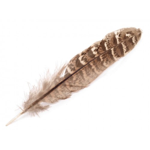 Ozdobné bažantie perie dĺžka 10-18 cm